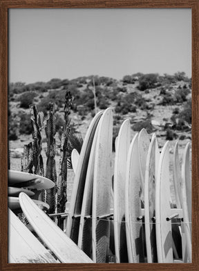 Surfboards in Black and White Poster