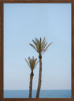 Moroccan Coast Palm Trees Poster