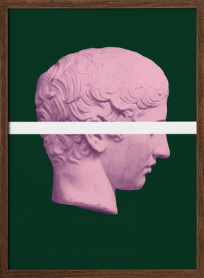 Ancientpinkgreen Ratio2x3 Poster