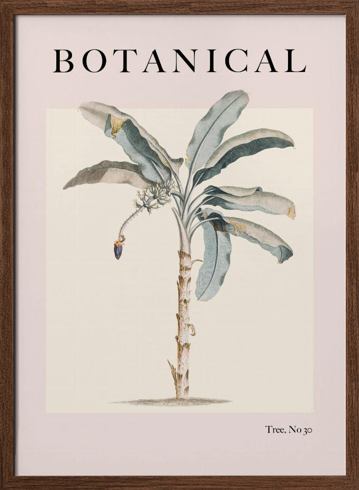 Botanicalno30 Ratioiso Poster