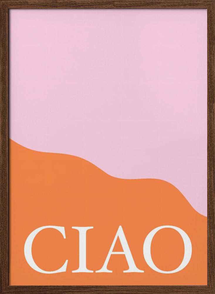 Ciaopinkorange Ratioiso Poster