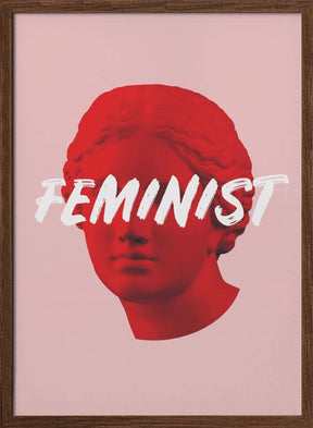 Venusfeminist Ratioiso Poster