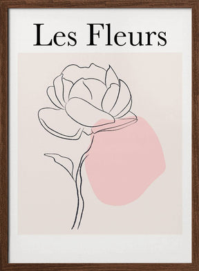 Lesfleurs1 Ratioiso Poster