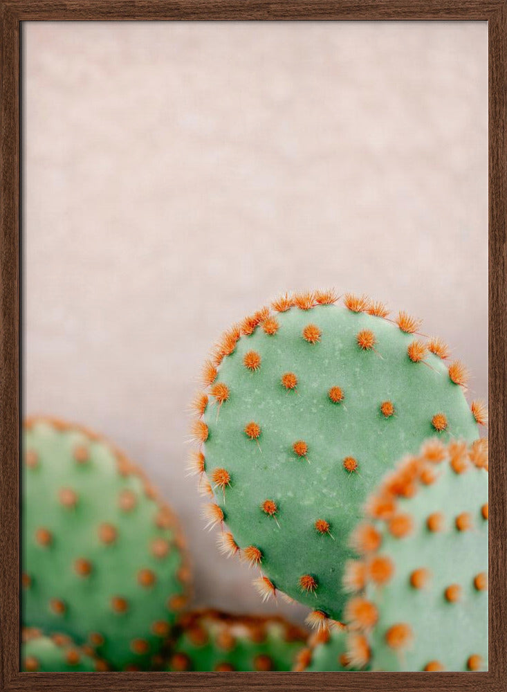 Cacti Pastel Tones Poster