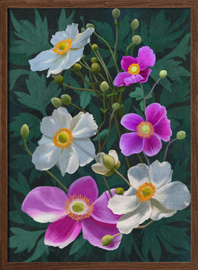 Anemone Flowers Poster