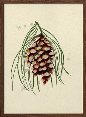 Maine White Pine Cone Copy Poster