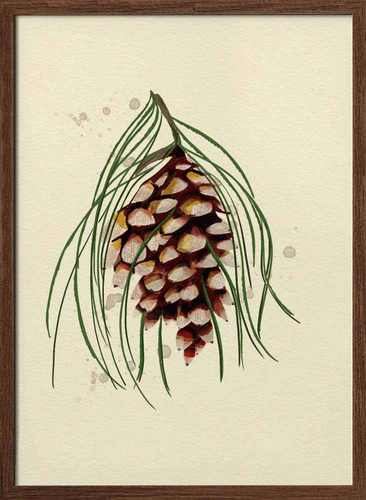 Maine White Pine Cone Copy Poster