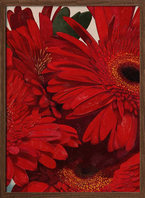 Red Gerbera Daisy Detail Poster