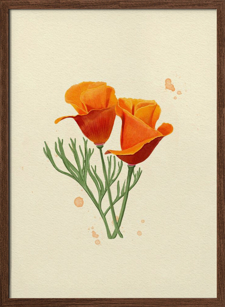 California Poppy Poster