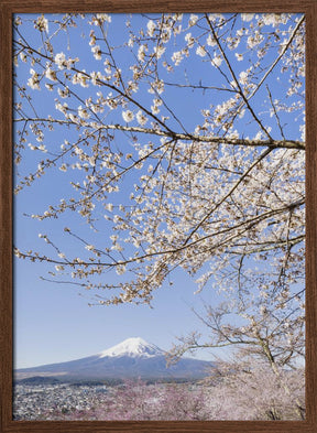 Charming view of Mount Fuji with cherry blossoms	 Poster