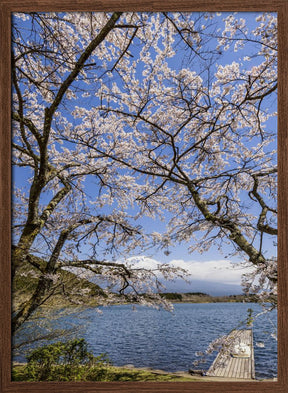 Charming Lake Tanuki with Mount Fuji Poster