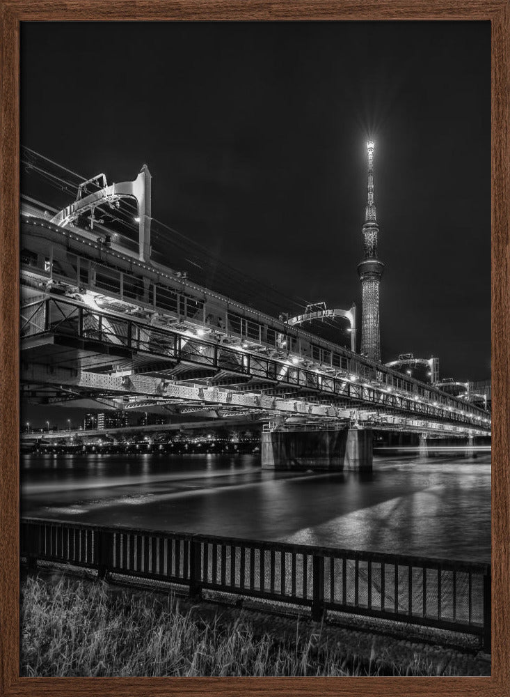 Tokyo Skytree with Sumida River Walk at night - monochrome Poster