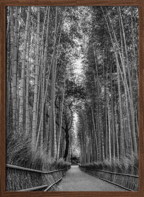 Mighty Arashiyama bamboo forest - monochrome Poster