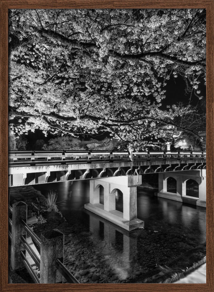 Charming Nakabashi Bridge in the evening - monochrome Poster