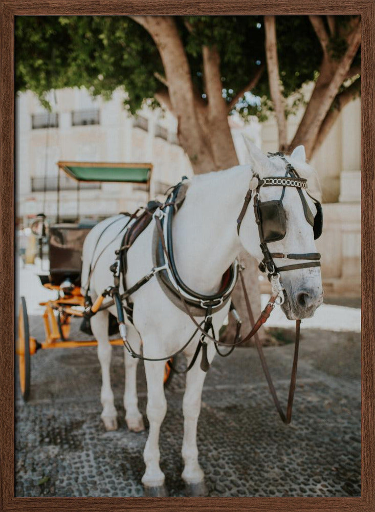 Sevilla White Horse Poster