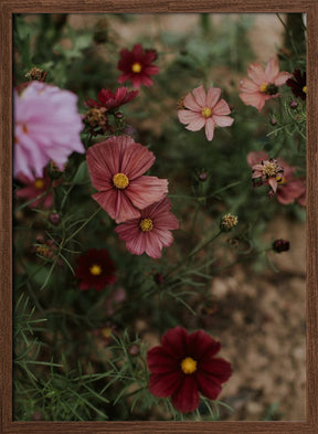 Pink Coral Flowers Poster