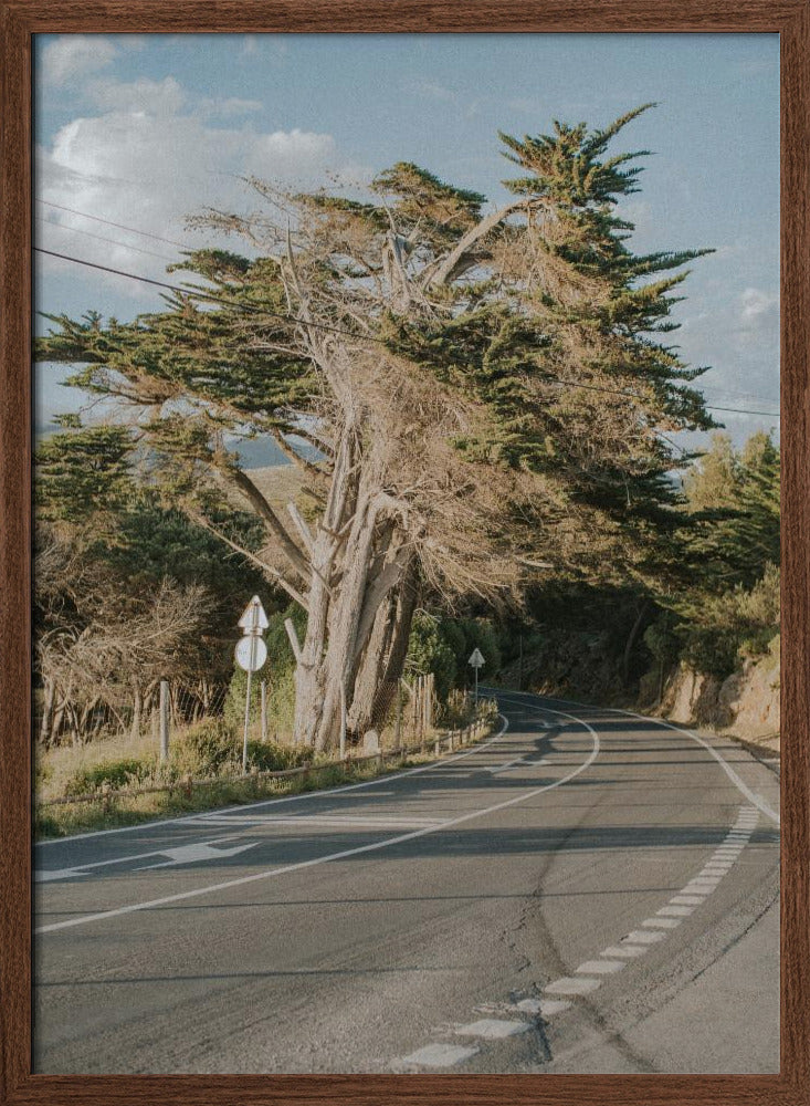 Summer Beach Road Poster