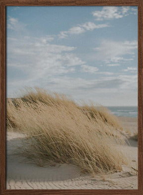 Summer Dunes Poster