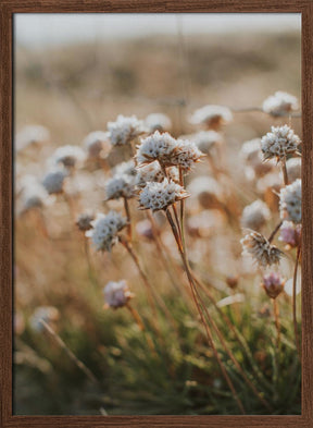 Beach Flora Poster