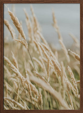 Beach Flora Poster