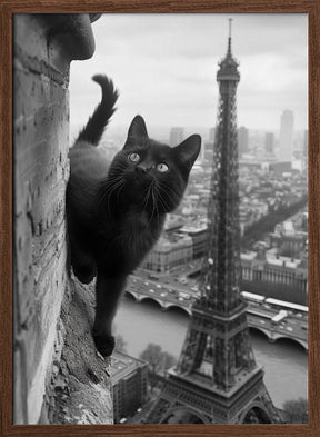 Kitty in Paris Poster