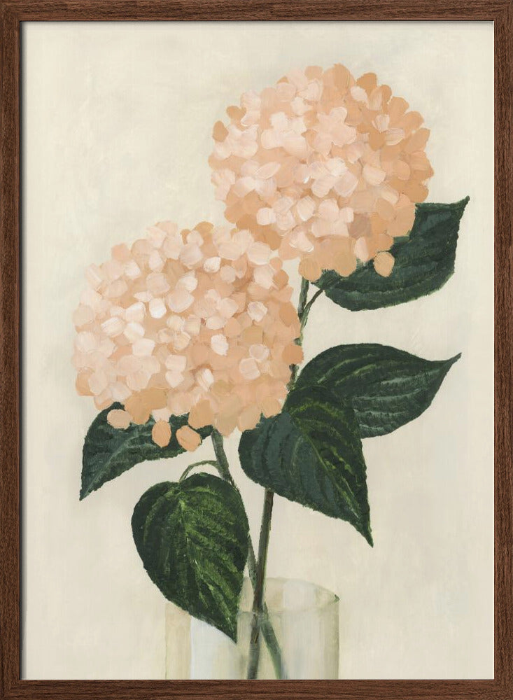 Coral hydrangeas in a vase Poster