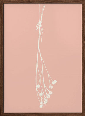 Gypsophila ink sketch I (cream, pink) Poster