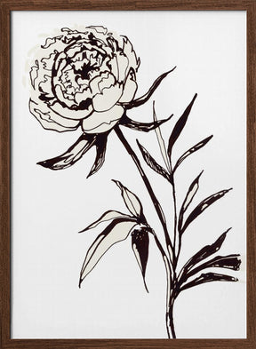 Loose peony ink sketch Poster