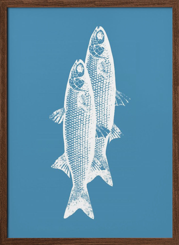 Pescados Poster