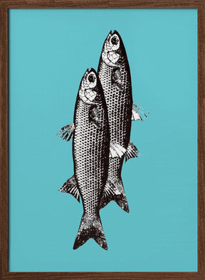 Sardinas Poster