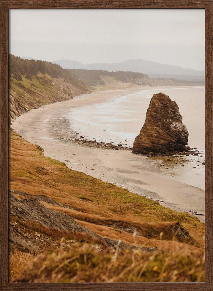 The Oregon Coast Poster