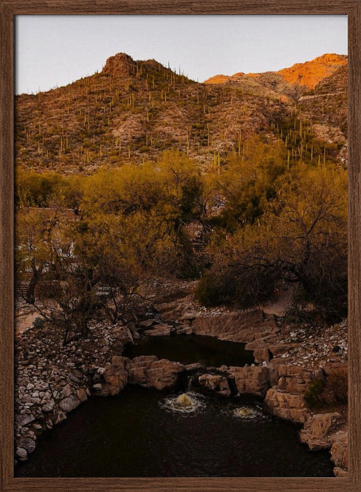 Ventana Canyon Poster