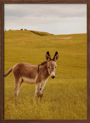 Yes, Donkey Poster