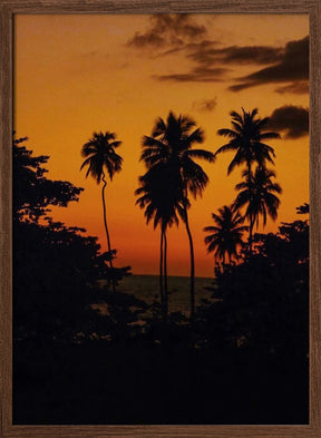 Squiggly Palm Sunset Poster