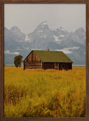 Teton Valley Poster