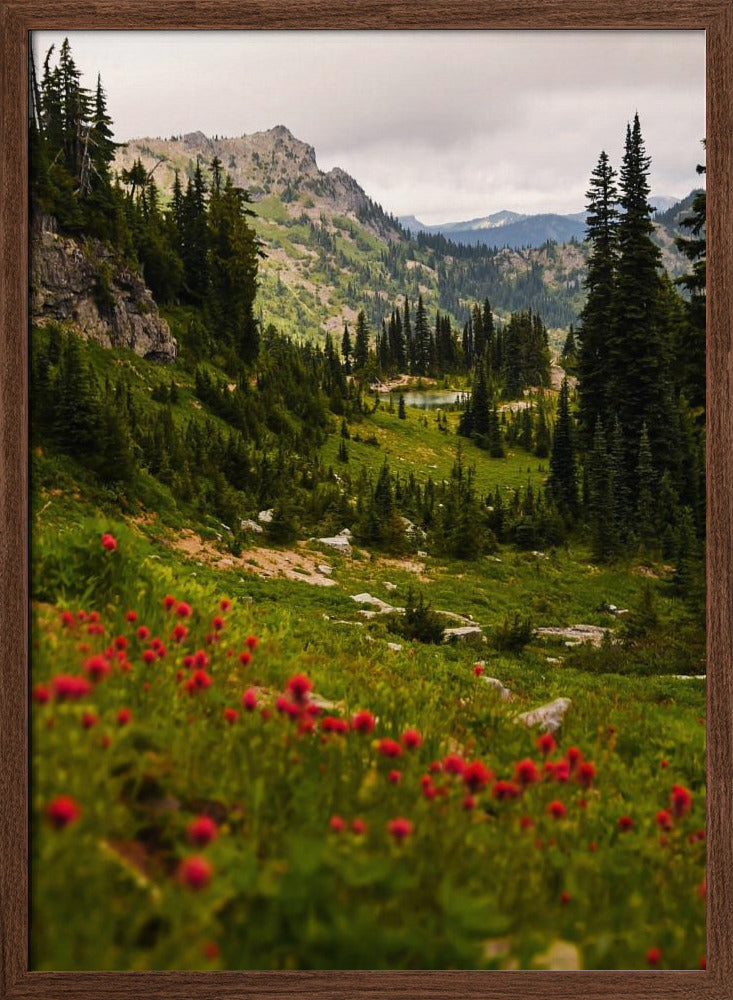 Mount Rainier Paintbrush Poster