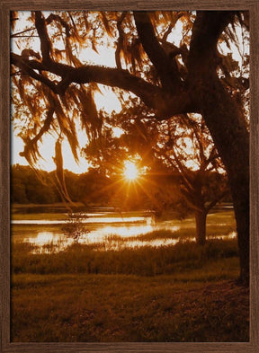 Low Country Sunset Poster