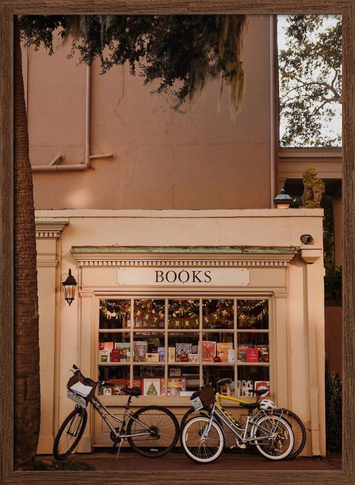 Books &amp; Bicycles Poster