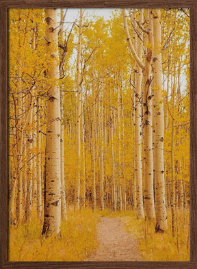 Aspen Alley Poster