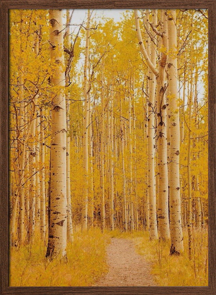 Aspen Alley Poster