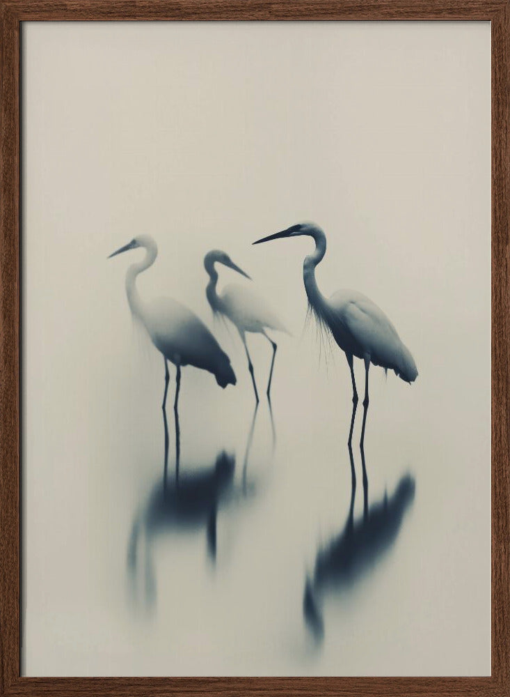 Birds In Lake Poster