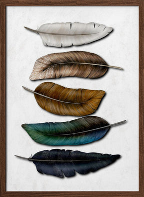 Feathery Poster