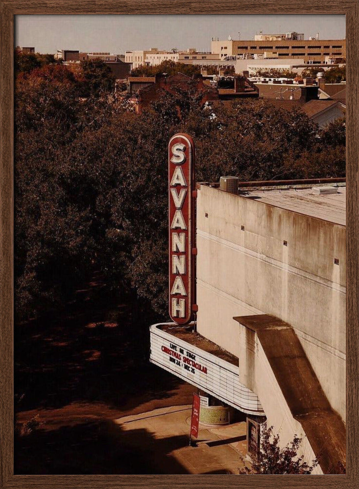 Savannah Theater Poster