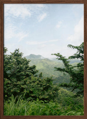 Greens of Monteverde Costa Rica Poster