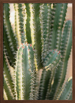 Gold &amp; Green Cacti Marrakech Poster