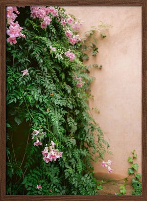 Flowers of Marrakech Poster