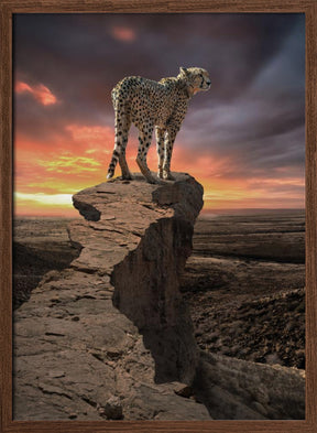 CheetahPeek Poster