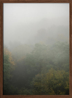 Foggy Autumn Forest Poster