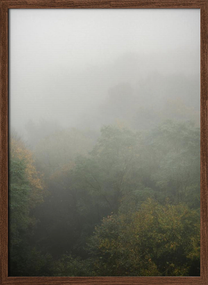 Foggy Autumn Forest Poster