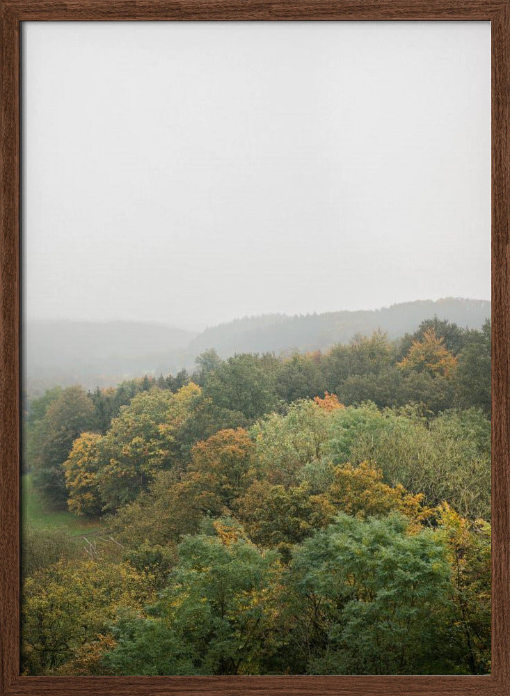 Autumn Forest Canopy | Serene Landscape Photography Poster